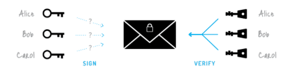 Ring Signature Transactions include multiple signers, unknown to outside observers